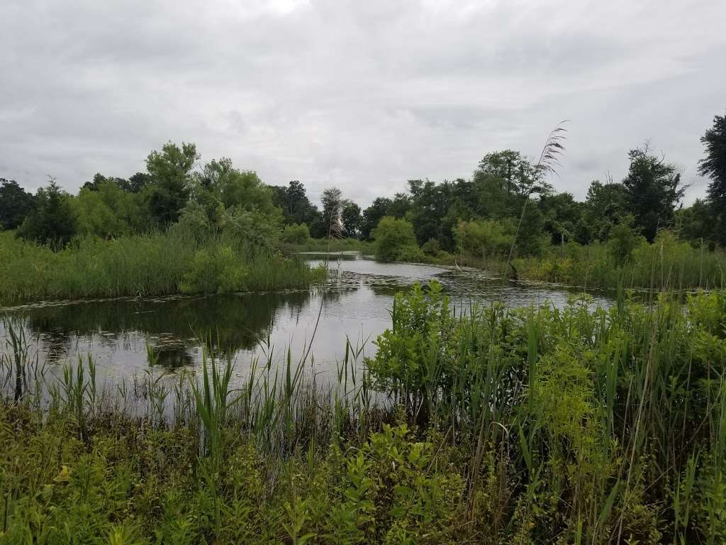 Village Grande At Camelot in 149 Heritage Loop, Glassboro, NJ 08028, USA