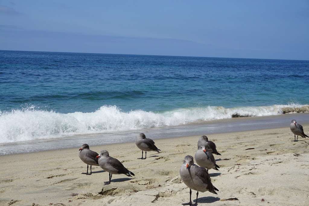 Anita Street Beach | 120 Anita St, Laguna Beach, CA 92651, USA