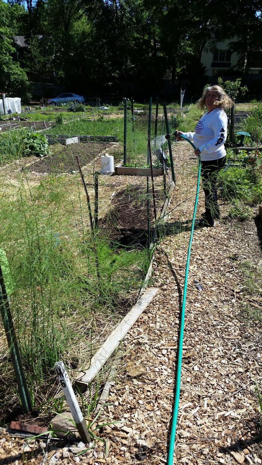 Chinquapin Community Gardens | Chinquapin Dr, Alexandria, VA 22302, USA | Phone: (703) 746-4343