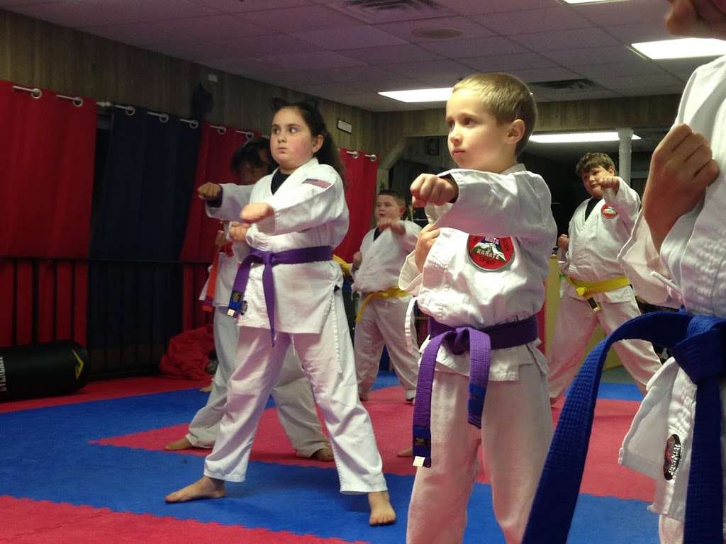 MATA Karate | 516 N Bedford St, East Bridgewater, MA 02333, USA | Phone: (508) 944-0979