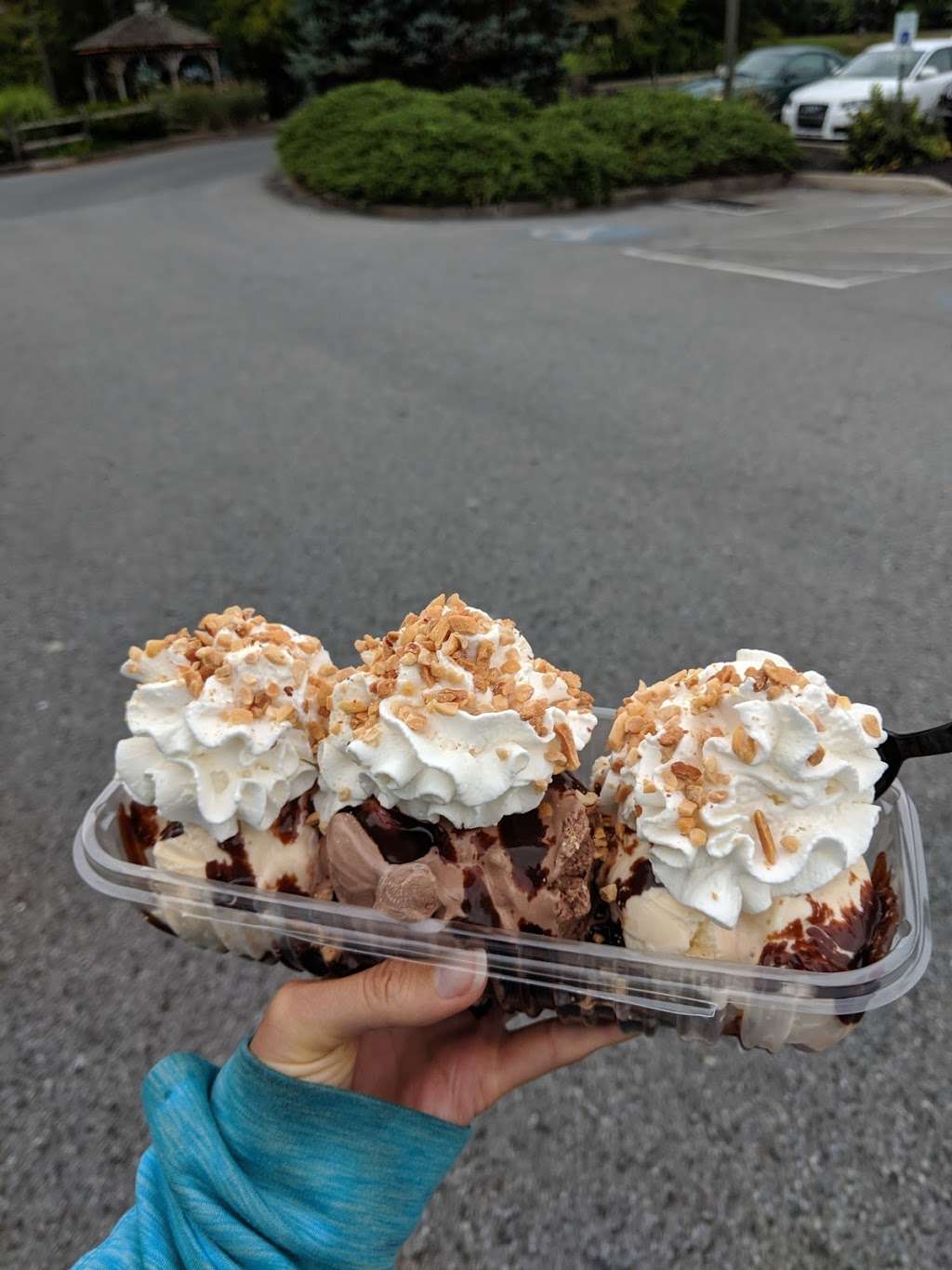 Scoops Ice Cream & Grille | 312 Primrose Ln, Mountville, PA 17554, USA | Phone: (717) 285-2055
