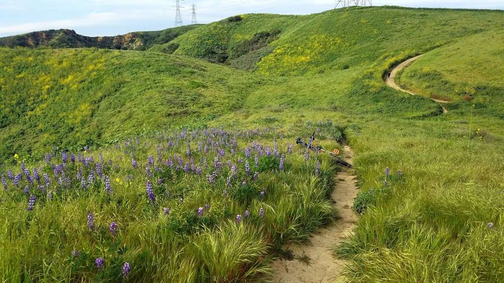 Whittier Turnbull Canyon Hiking Trail | Turnbull Canyon Rd, Whittier, CA 90601 | Phone: (562) 945-9003