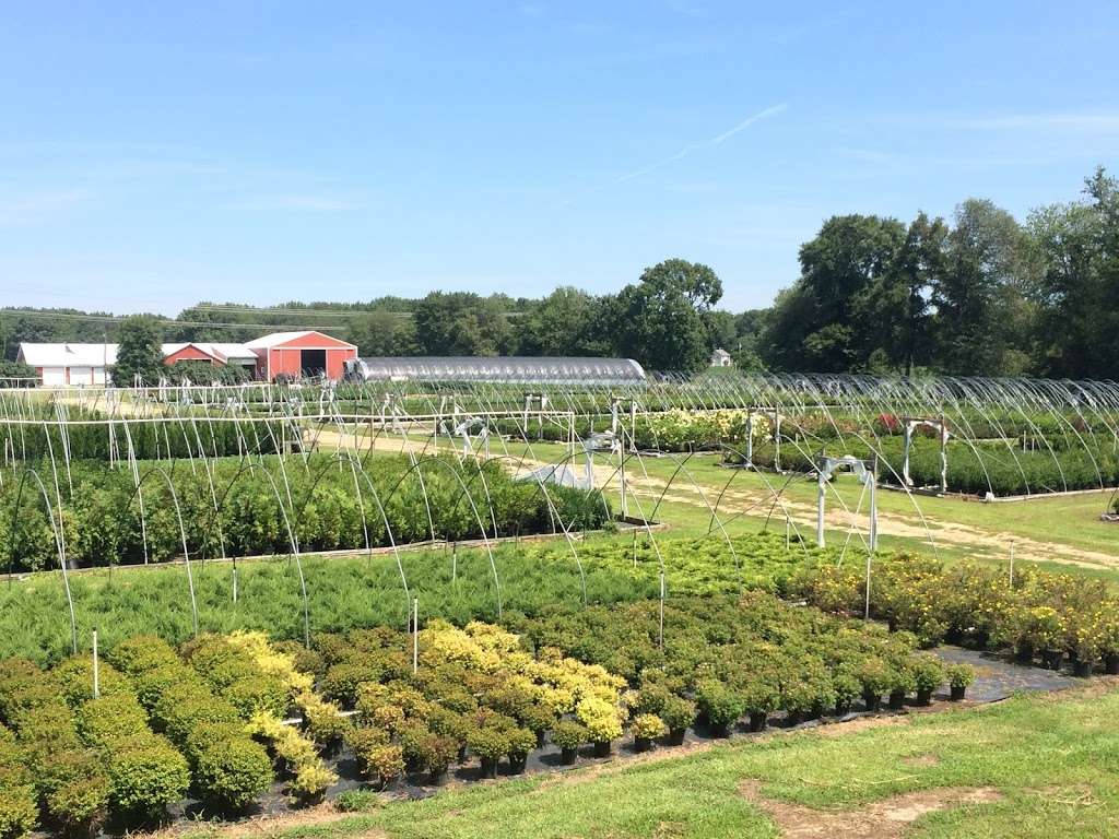 Monroeville Nursery | 182 Pinyard Rd, Monroeville, NJ 08343, USA | Phone: (856) 392-6465