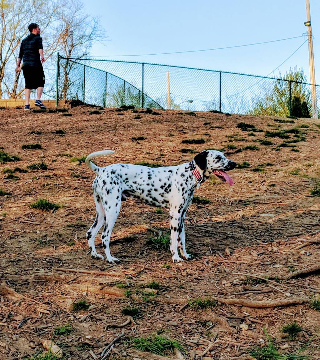 Fort Thomas Dog Park | 199 Mayfield Ave, Fort Thomas, KY 41075 | Phone: (859) 781-1700