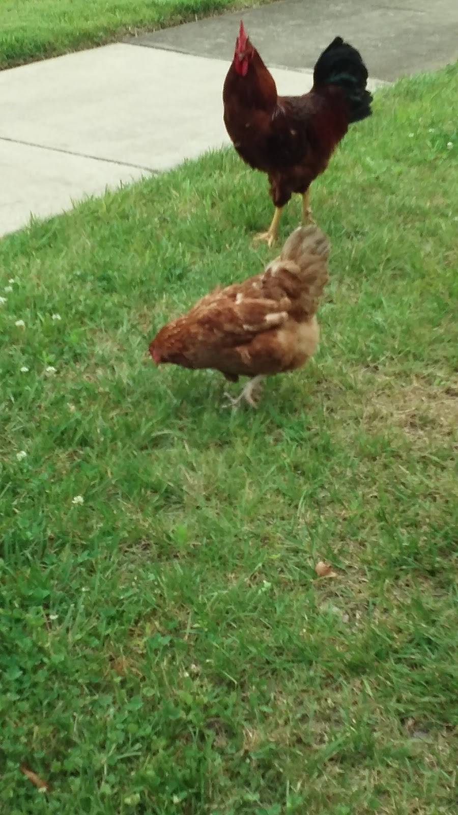 Terrell Broady Funeral Home | 3855 Clarksville Pike, Nashville, TN 37218, USA | Phone: (615) 244-4755