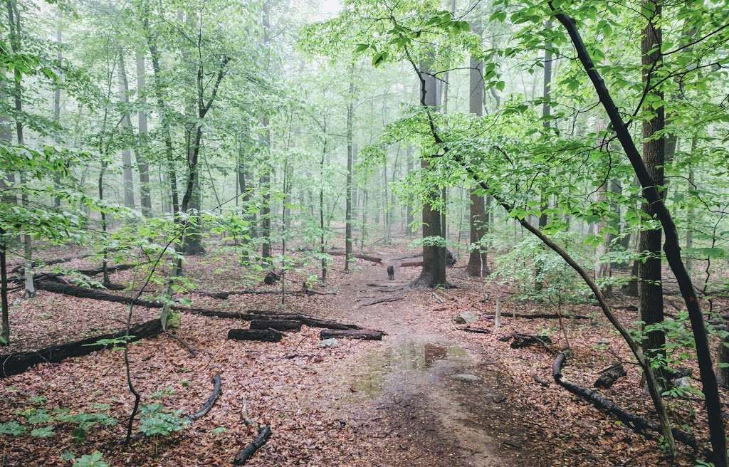 Robert B. Gordon Natural Area for Environmental Studies | Stadium Rd, West Chester, PA 19382