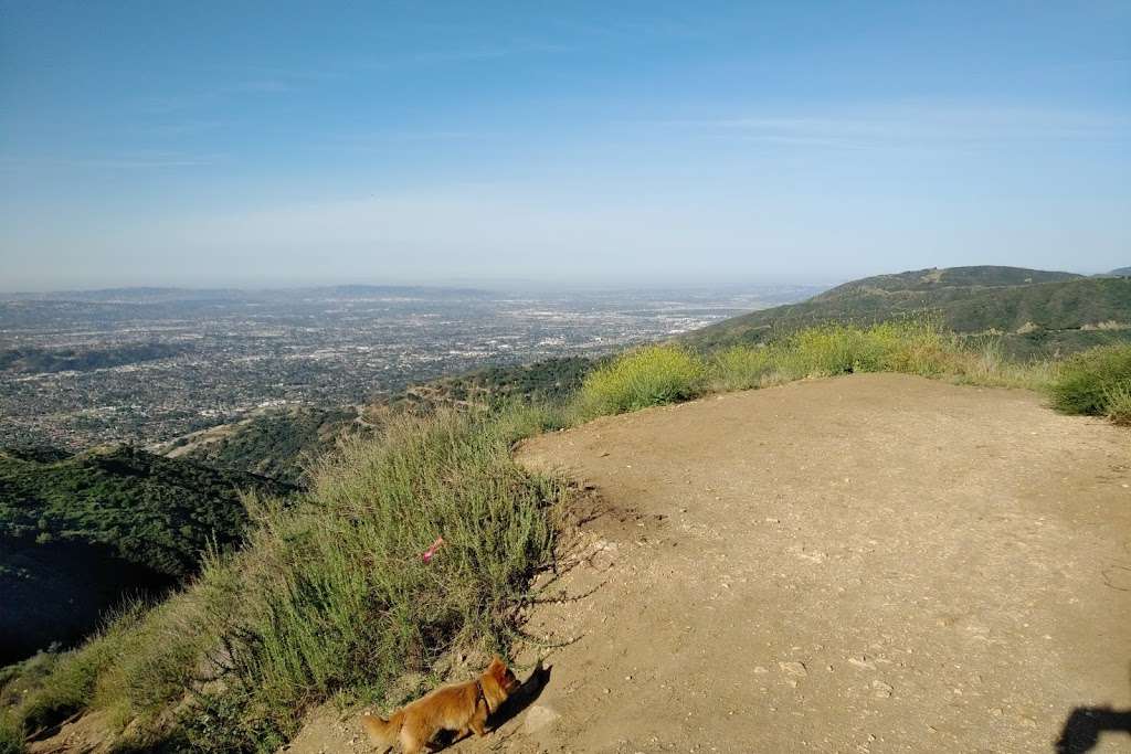 Top of Punk Out Trail | Lower Monroe Rd, Glendora, CA 91741, USA