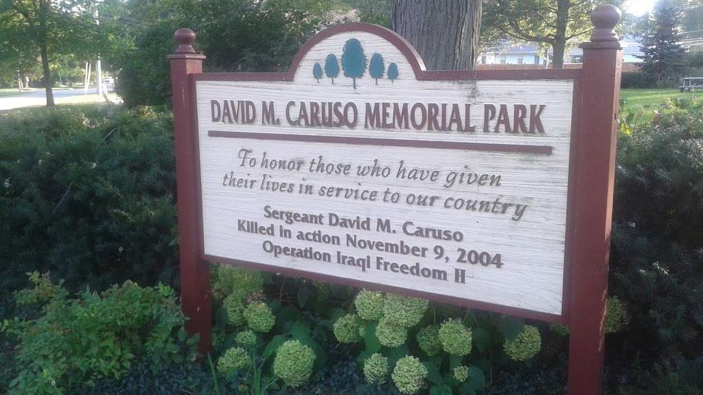 David M. Caruso Memorial Park | 5S312 Glenoban Dr, Naperville, IL 60563, USA
