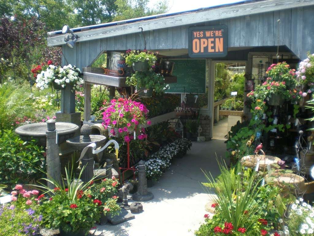 Lowes Bayshore Nursery and Garden Center, Inc. | 703 Love Point Rd, Stevensville, MD 21666 | Phone: (410) 643-6244