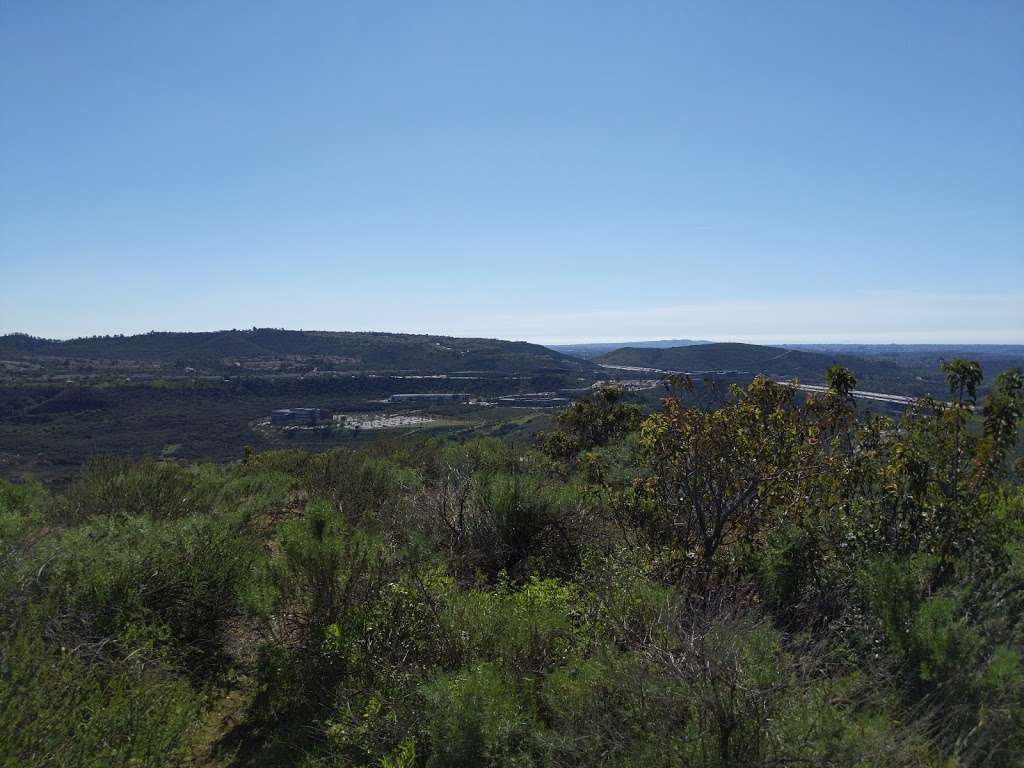 Van Dam Peak Savannah Trail | Van Dam Peak Savannah Trail, San Diego, CA 92128, USA