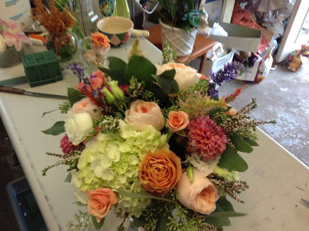 Jan Williams Florals | 429 Ferry Rd, Fredericksburg, VA 22405 | Phone: (540) 373-8826