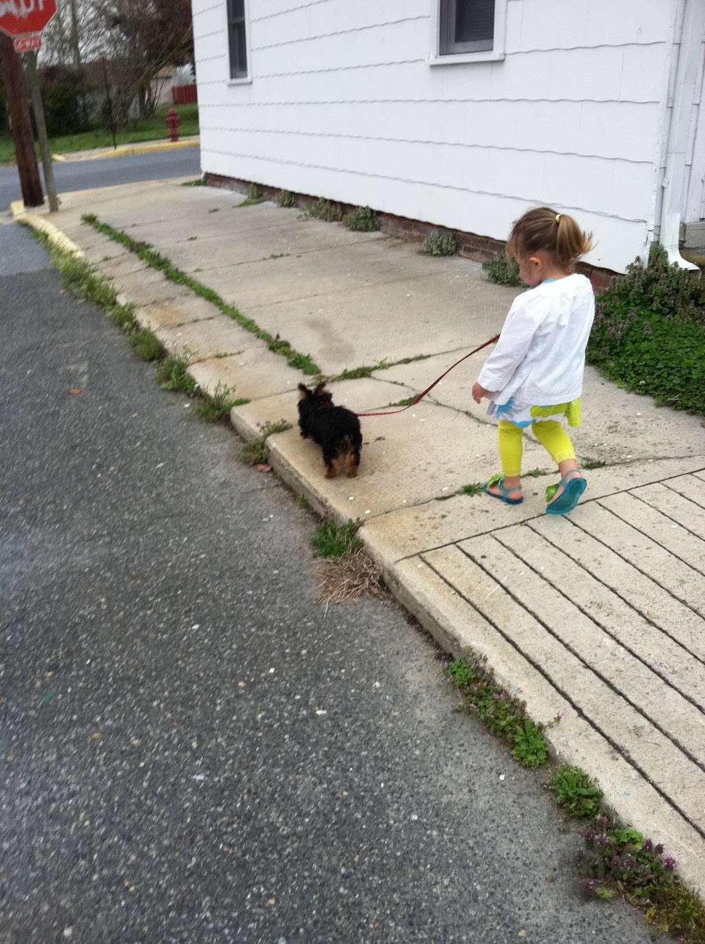 Little Feet Day Care | 116 Middle St, Vienna, MD 21869 | Phone: (410) 376-3092