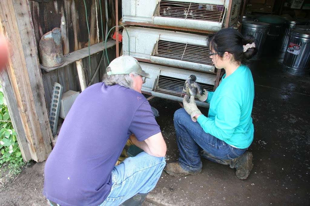 Garfield Farm Museum | Garfield Rd, La Fox, IL 60147, USA | Phone: (630) 584-8485