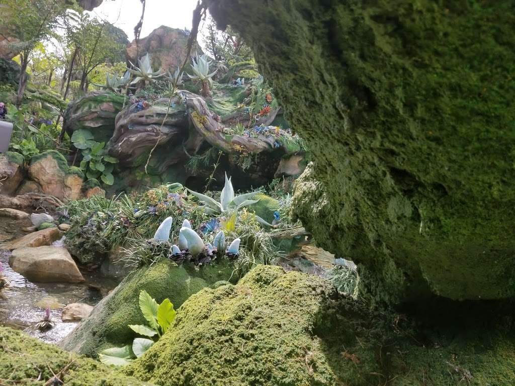 Avatar Flight of Passage | 2901 Osceola Pkwy Suite C, Orlando, FL 32830, USA | Phone: (407) 939-5277