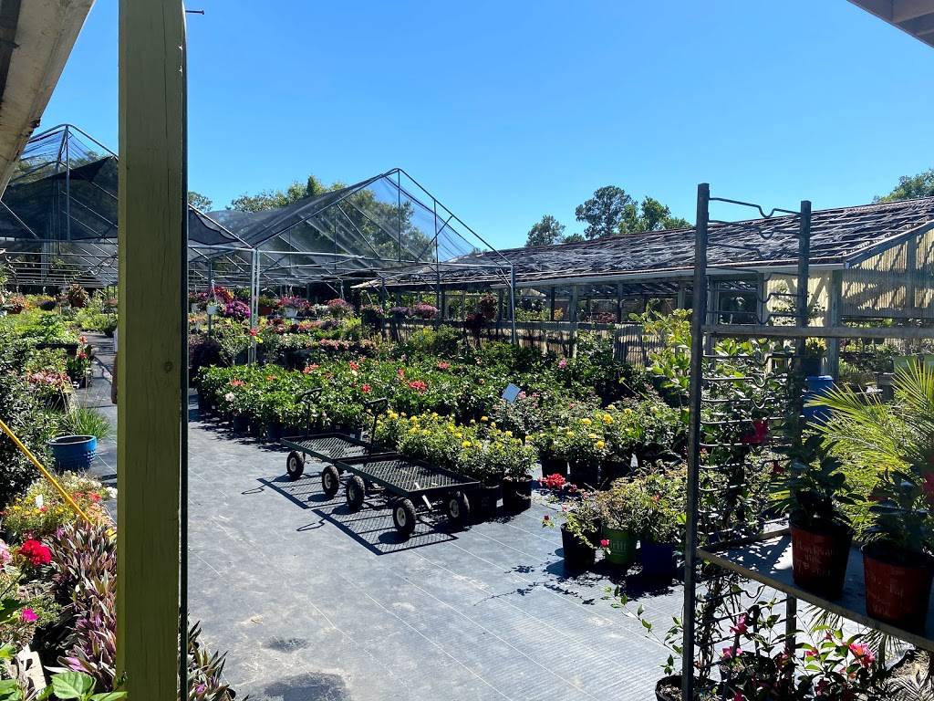 Jones & Hall Nurseries | 8204 Beach Blvd, Jacksonville, FL 32216, USA | Phone: (904) 724-7233