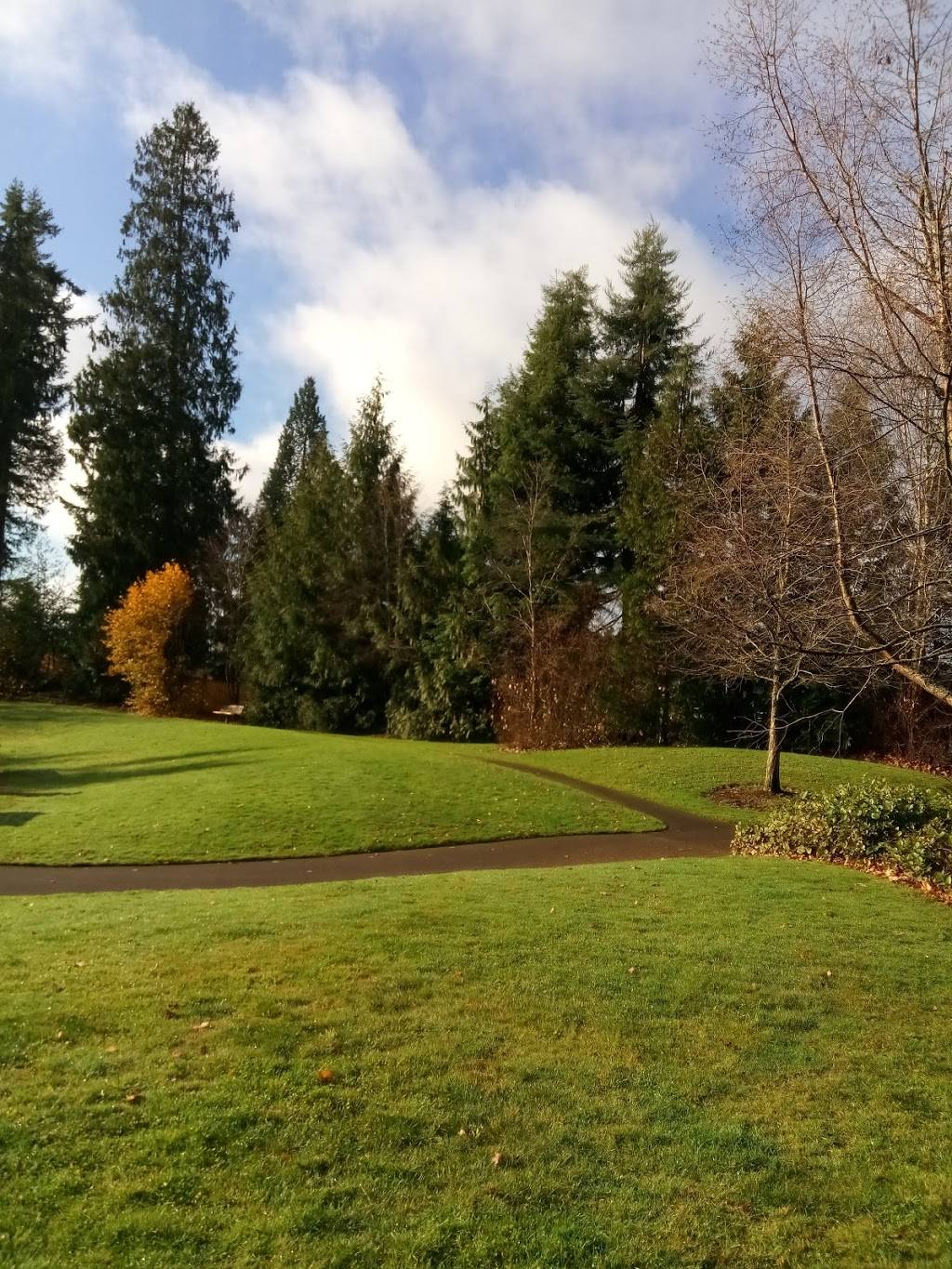 Green Acres Park | 23825 15th Ave SE, Bothell, WA 98021, USA | Phone: (425) 483-1188