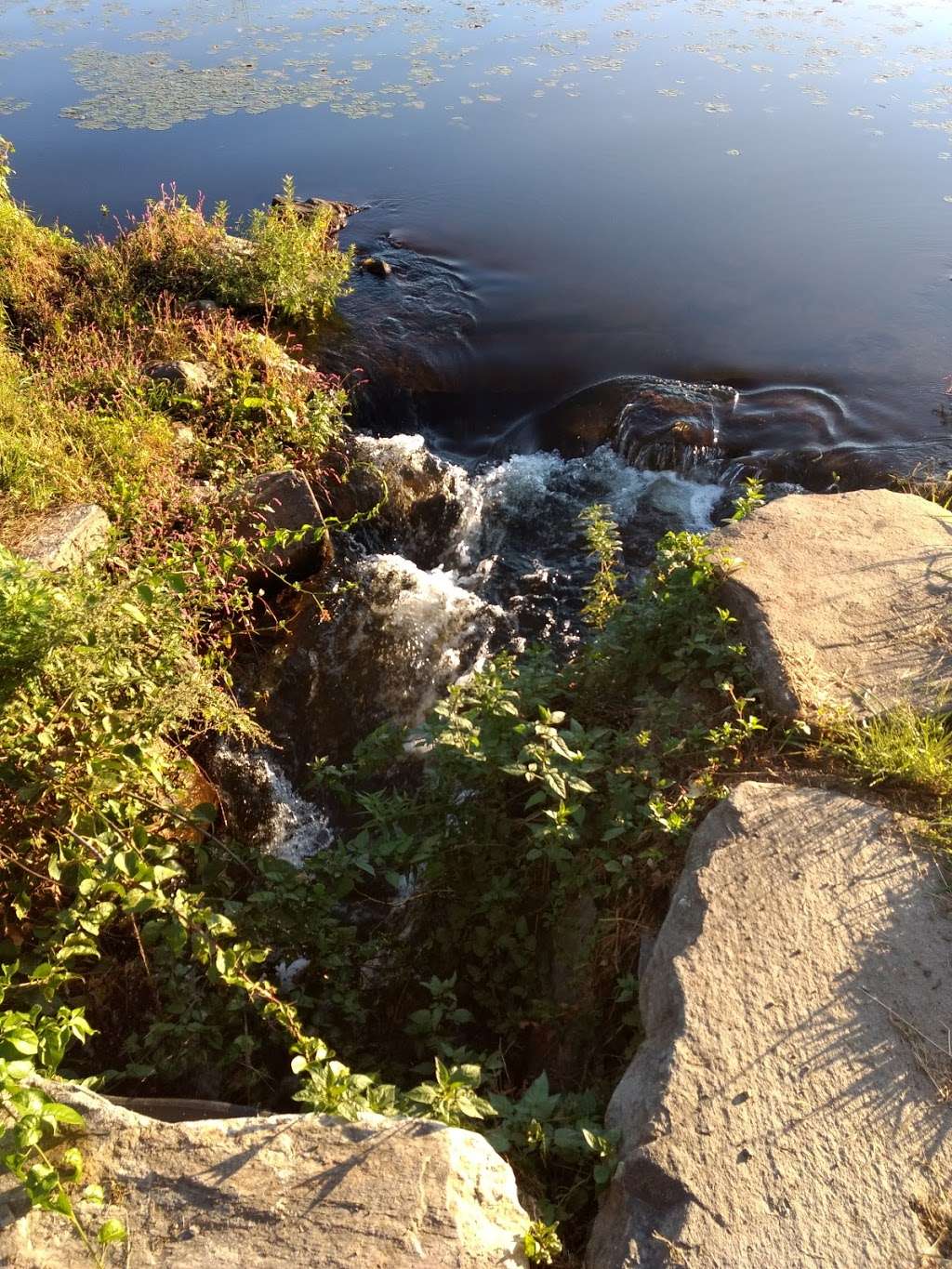 Lake chauncy trail head | Westborough, MA 01581, USA