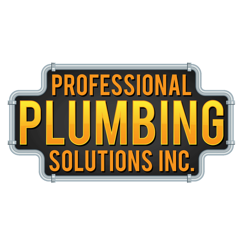 Professional Plumbing Solutions Inc. | 10176 Kings Hwy, King George, VA 22485, USA | Phone: (540) 709-7995