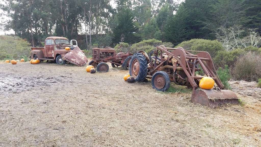 Aratas Pumpkin Farm | 185 Verde Rd, Half Moon Bay, CA 94019, USA | Phone: (650) 726-7548