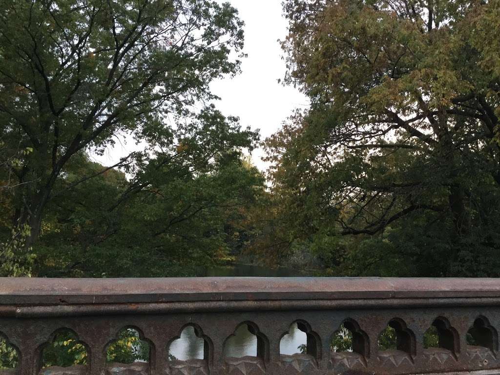 Lookout Hill | 150 West Dr, Brooklyn, NY 11218, USA | Phone: (718) 965-8951