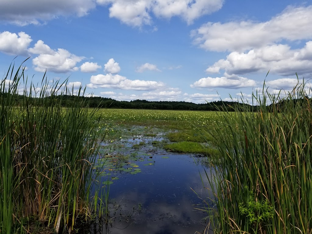 Great Meadows National Wildlife Refuge | 73 Weir Hill Rd, Sudbury, MA 01776, USA | Phone: (978) 443-4661