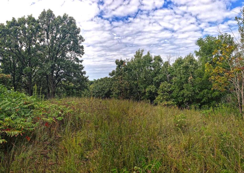 Rice Lake Dry Prairie State Natural Area | N7681 State Park Dr, Whitewater, WI 53190, USA