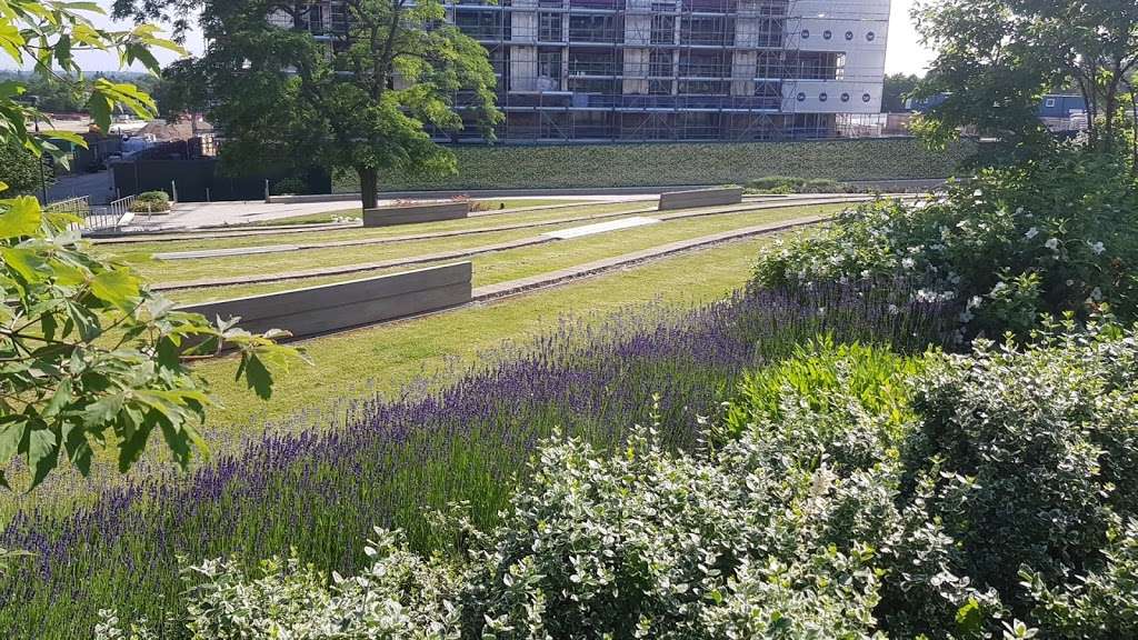 Central Community Park | Millbrook Park, London NW7 1HA, UK