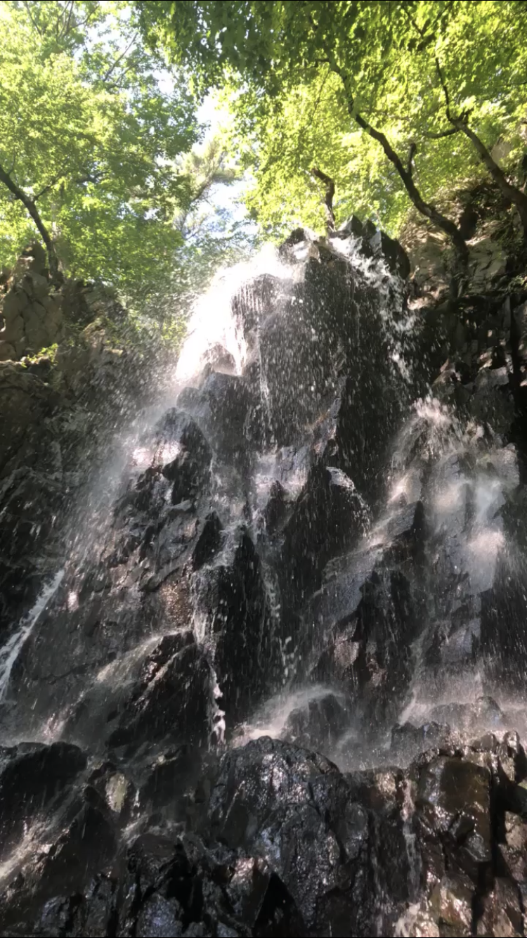 Peanut Leap | Palisades, NY 10964, USA