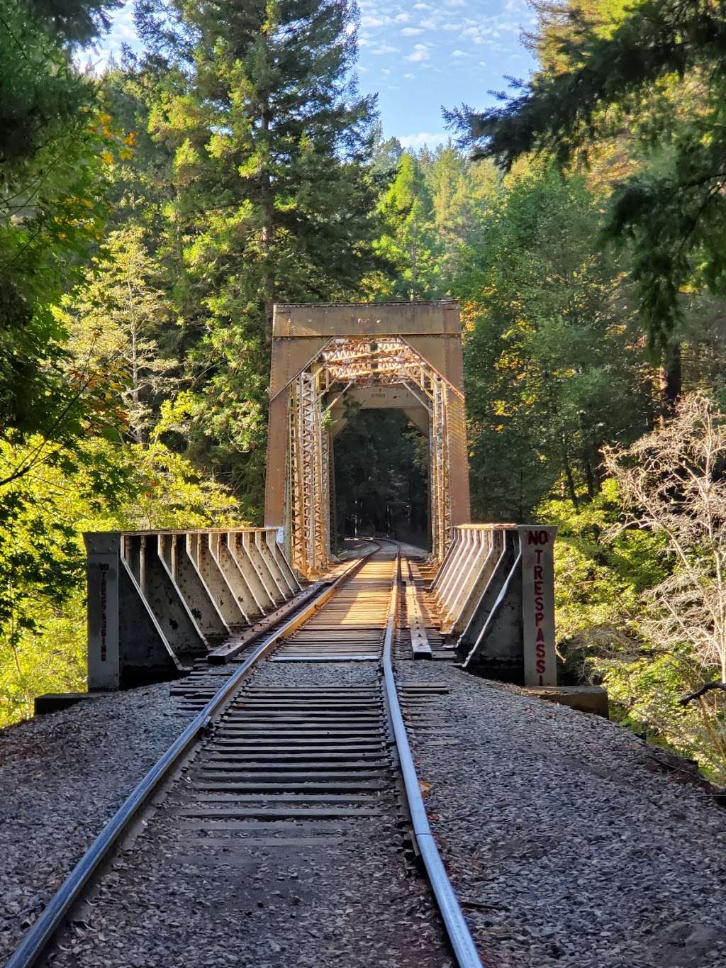 Henry Cowell Redwoods State Park | 101 N Big Trees Park Rd, Felton, CA 95018, USA | Phone: (831) 335-4598