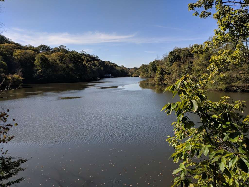 Paw Point Dog Park | Baltimore, MD 21210, USA