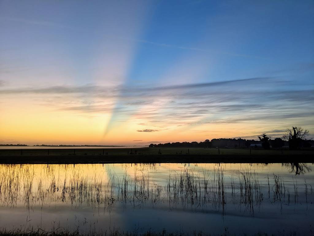 Balm Boyette Scrub Preserve | 15102 Co Rd 672, Wimauma, FL 33598 | Phone: (813) 272-5900