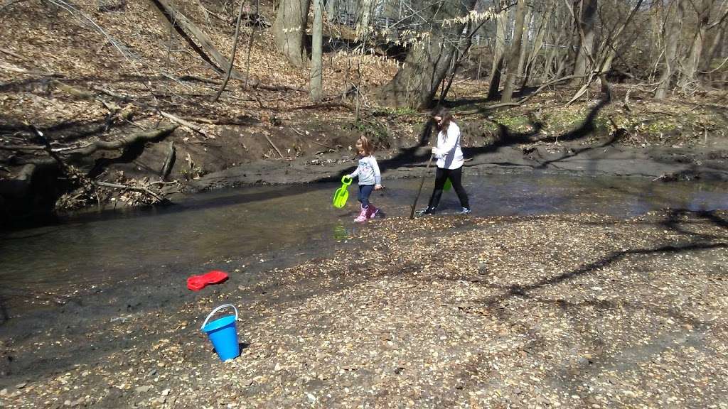 Poricy Park Fossil Beds | 1083 Middletown-Lincroft Rd, Middletown, NJ 07748, USA