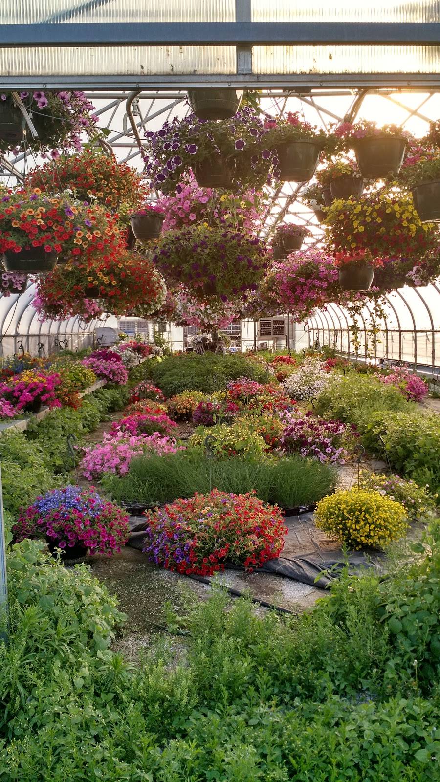 Milwaukee Community Greenhouses | 9801 W Capitol Dr, Milwaukee, WI 53222, USA | Phone: (414) 559-2438