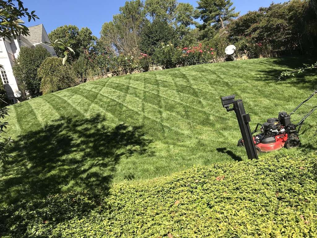 Pro-Mow, Inc. | 42406 Azalea Ln, Dulles, VA 20166 | Phone: (703) 957-4880