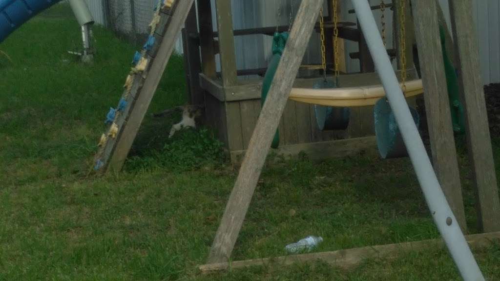 North Pines | 7245 Fairbanks North Houston Rd, Houston, TX 77040, USA | Phone: (713) 466-4151