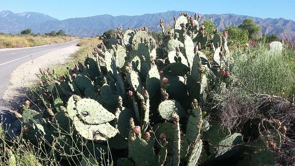 Santa Fe Dam Nature Center | San Gabriel River Trail, Irwindale, CA 91706, USA | Phone: (626) 335-1771