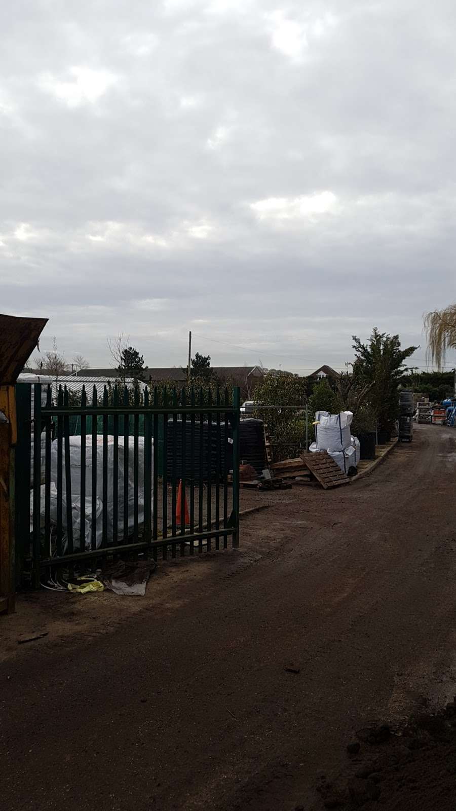 Floralux Ltd | Pinetree Nurseries/Avey Lane, Waltham Abbey EN9 3QH, UK | Phone: 01992 716222