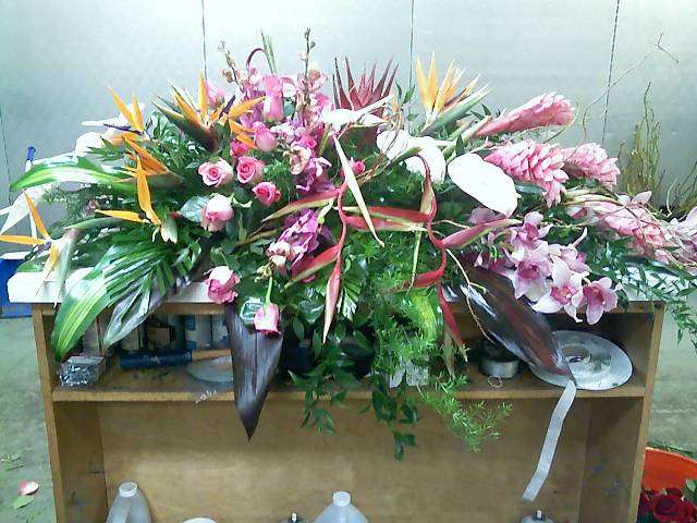 Enchanted Blooms Florist | 1646 Providence Blvd #101, Deltona, FL 32725 | Phone: (386) 775-8223
