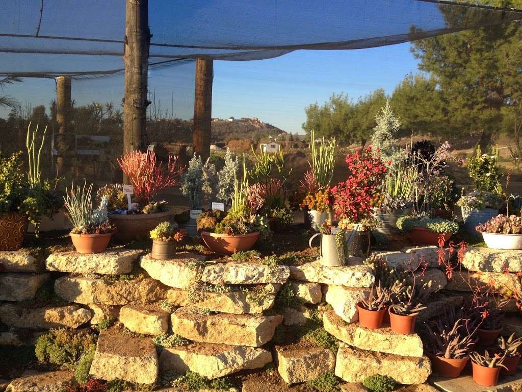 Waterwise Botanicals | 32151 Old Hwy 395, Bonsall, CA 92003, USA | Phone: (760) 728-2641