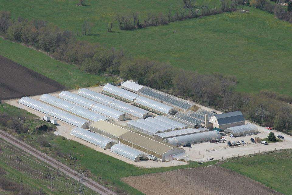 Tehan Greenhouses, Inc. | 1515 E Rawson Ave, Oak Creek, WI 53154, USA | Phone: (414) 762-9151