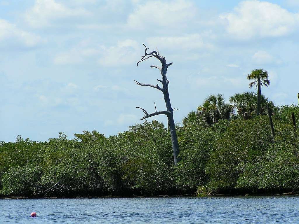 Loxahatchee River Natural Area | 2500 Jupiter Park Dr, Jupiter, FL 33478, USA | Phone: (561) 747-5700