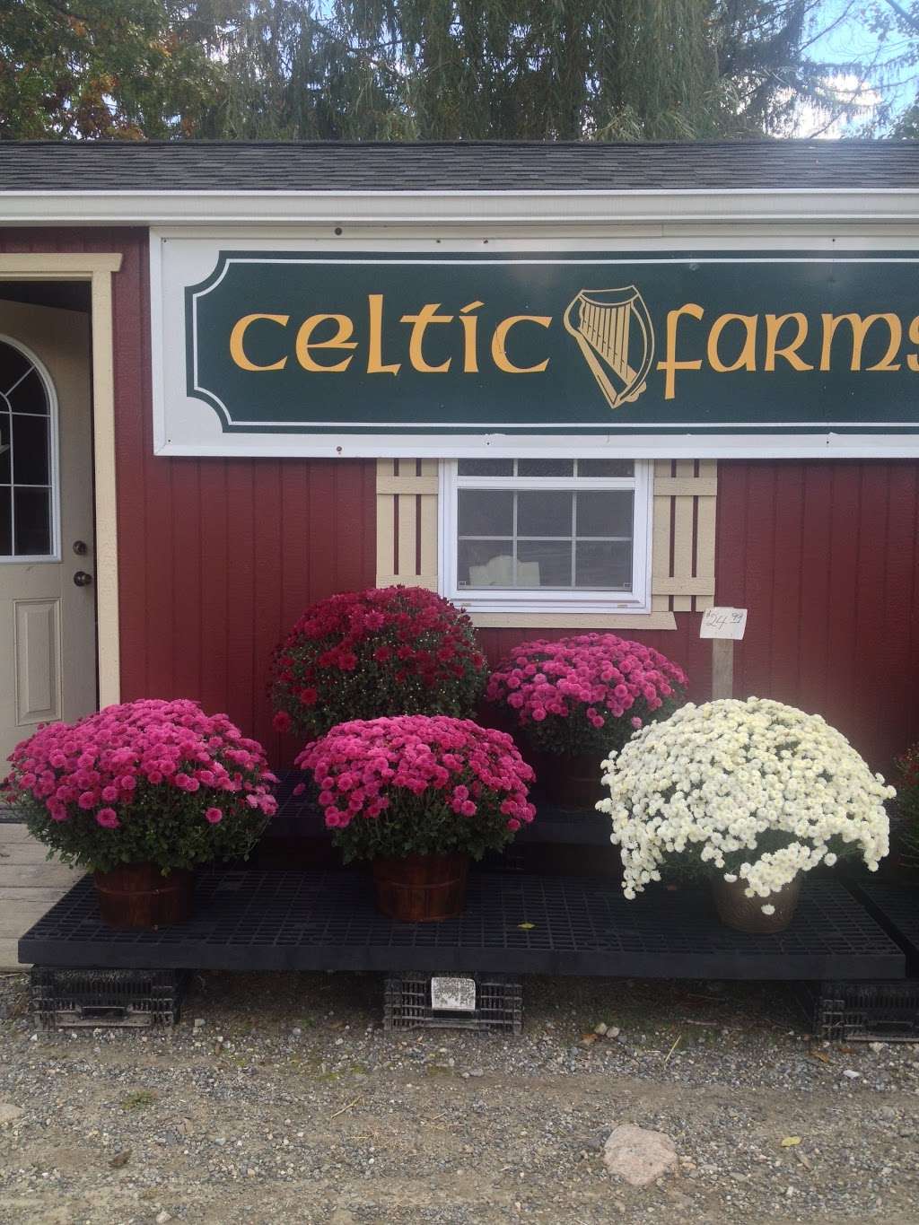 Celtic Farms & Nursery and Sheds | 1451 Strawberry Rd, Shrub Oak, NY 10588, USA | Phone: (914) 526-4437