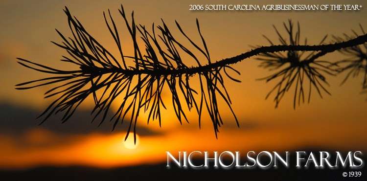 Nicholson Farms LLC PInestraw and Produce | 3062 US-601, Pageland, SC 29728, USA | Phone: (843) 672-5572