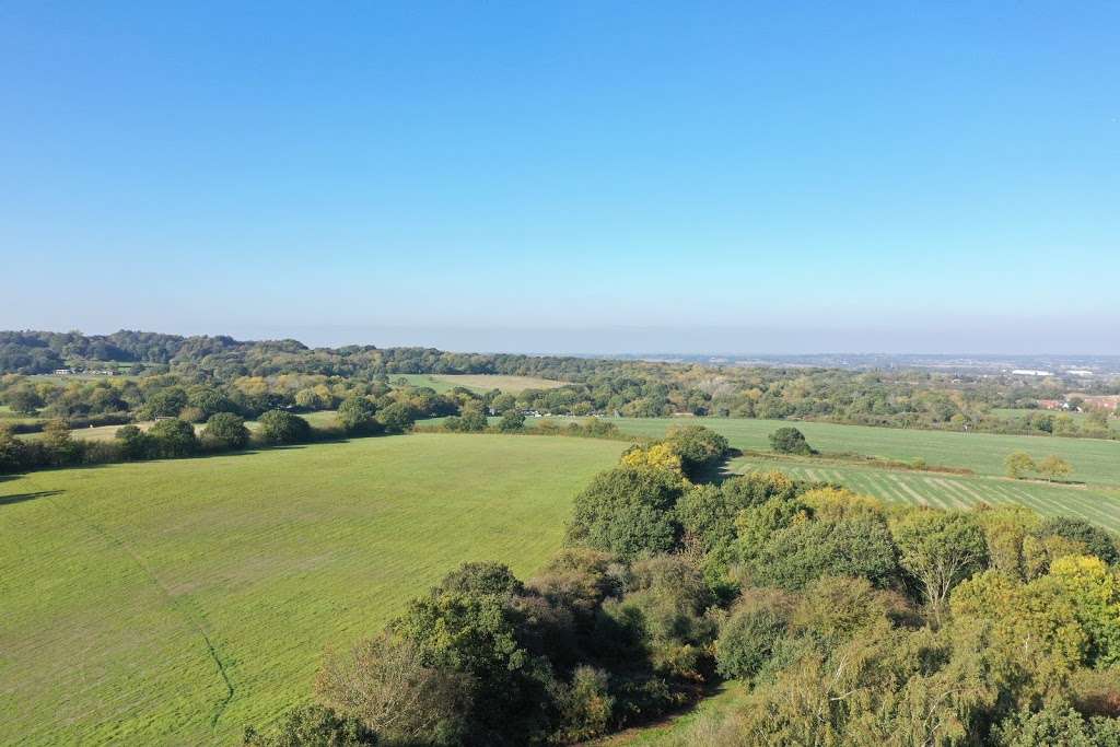 Langdon Hills Country Park | One Tree Hill, Horndon on the Hill, Corringham SS17 9NH, UK | Phone: 01268 542066