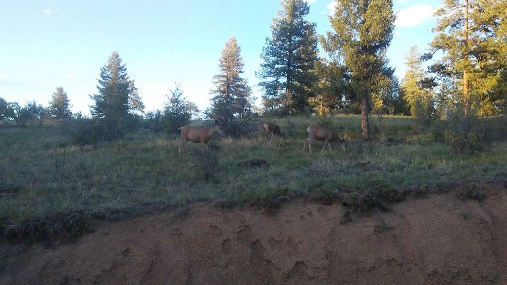 Parking lot for Colorado Trail access | Pine, CO 80470, USA