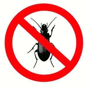 Coral Springs Pest Control | 7401 Wiles Rd, Coral Springs, FL 33067, USA | Phone: (954) 271-0008