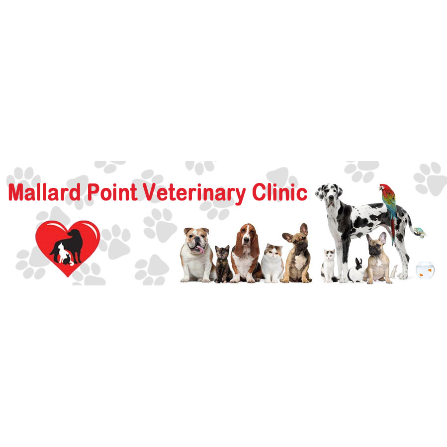 Mallard Point Veterinary Clinic and Surgical Center | 25520 S Pheasant Lane, Unit A, Channahon, IL 60410, USA | Phone: (815) 467-4855