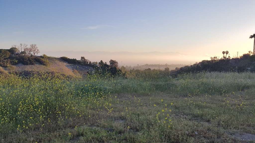 George F Canyon Preserve and Nature Center | 27305 Palos Verdes Dr E, Rolling Hills Estates, CA 90274 | Phone: (310) 547-0862