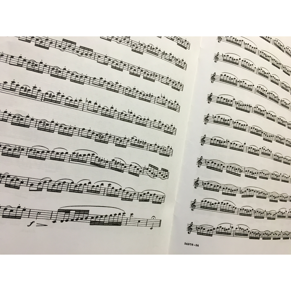 Saxophone, Flute, and Clarinet Lessons by Mike Mendoza | 2971 Union Ave, San Jose, CA 95124, USA | Phone: (408) 242-3395