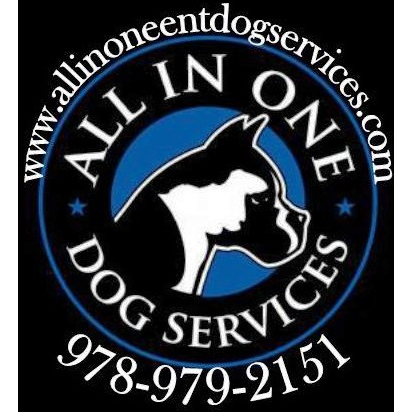 All In One Ent. Dog Services | 300 Andover St, Peabody, MA 01960, USA | Phone: (978) 979-2151